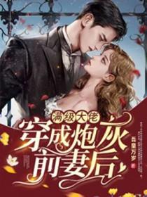 满级大佬穿成炮灰前妻后免费