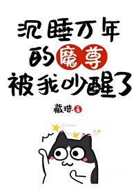 我把魔头哔哔醒了江文学城