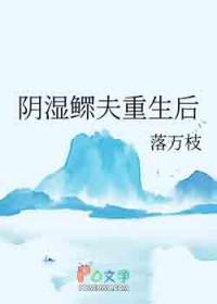二嫁鳏夫重生免费阅读