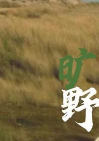 旷野的风