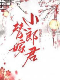 替嫁小郎君by陆渔免费
