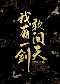 我有一剑天上来