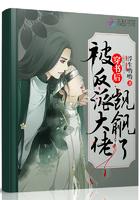 穿书后被反派大佬觊觎了 浮生哟哟