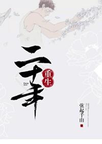 二十年后再相会歌词