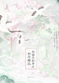 和退婚流龙傲天私奔后晋江