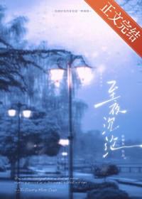 至夜沉沦免费阅读