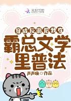 穿成霸总后我把反派弄哭了txt