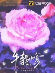 不务正夜晋江