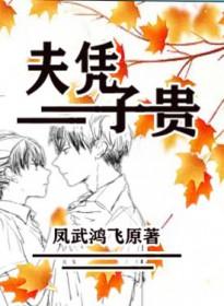 夫凭子贵txt
