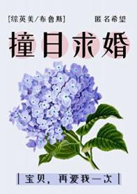 撞日求婚[综英美