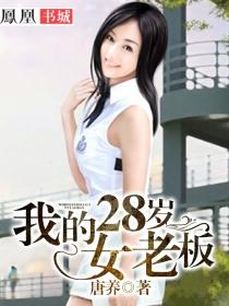 我的28岁女老板完整版