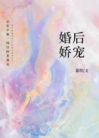 婚后娇宠南星北落免费阅读