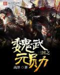 三国之魏武卒