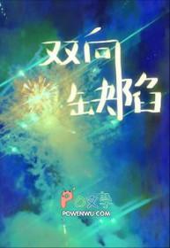 双向缺陷by西时宴免费