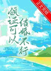 领证可以结婚不行番外