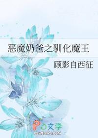 宠物小精灵好看的同人