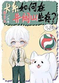 排球少年井闼山比赛