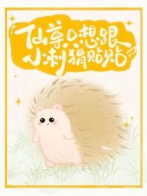 仙尊只想跟小刺猬贴贴作者天天想天天