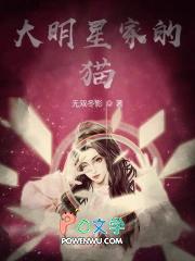 明星宠物猫名字大全