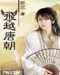 穿越唐朝主角杨飞