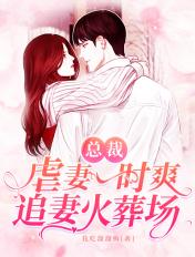 追妻火葬场的总裁