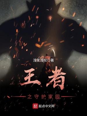 王者守护者系列