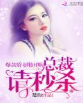 爆宠娇妻总裁别乱来