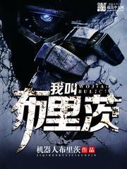 我叫布里茨电子书版
