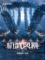 机武风暴有女主吗