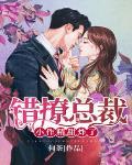 错撩总裁小作精