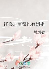 红楼之宝钗入宫