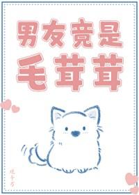 男主是毛茸茸的小动物