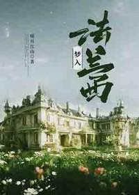 黛玉之梦同人文