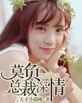 不负情深总裁太霸道关木深