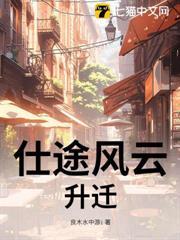 仕途风云全集笔趣阁