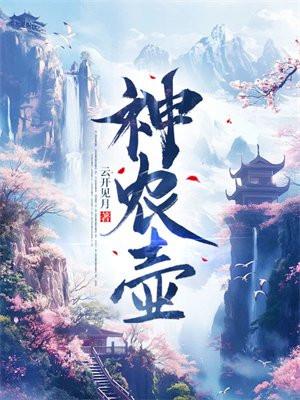 神农壶百度百科