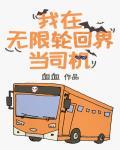 我在无限轮回界当司机格格党