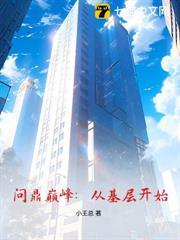问鼎巅峰免费阅读全文
