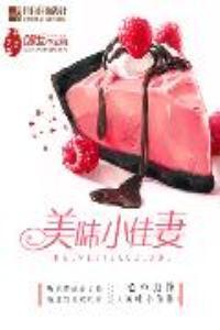 美味小佳妻全文免费阅读txt