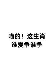 喵打一生肖