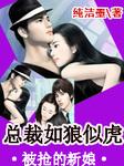 被抢走的新娘漫画