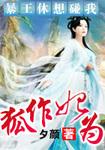 狐作妃为沐婉秦风