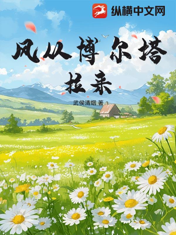 博尔塔拉风电项目
