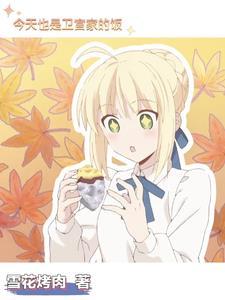 卫宫家今天的饭bilibili