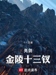 亮剑金陵十三钗笔趣阁