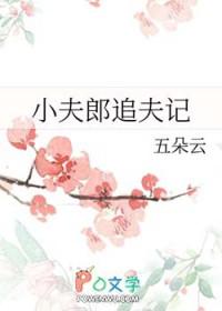 小夫郎追夫记 作者五朵云
