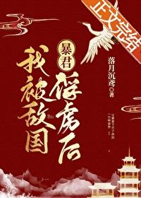 我被敌国昏君俘虏后作者落月沉鸢