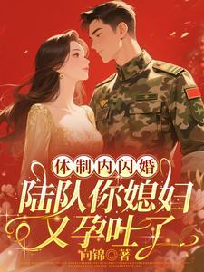 陆队你媳妇又孕吐了里面人物关系