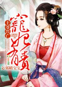 王爷兴亡宠妃有责聂臻和易清绾各方面对比?