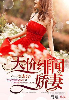 一夜天价豪门前妻免费